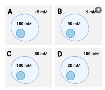 <p>For which cells will the net diffusion of water be out of the cell?&nbsp;Select all that apply.</p><p><br>a. Cell A<br>b. Cell B<br>c. Cell C<br>d. Cell D&nbsp;</p>