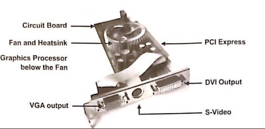 term image