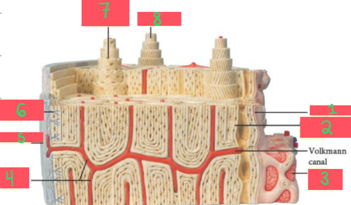 <p>2</p>