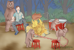 <p>Guillain-Barre syndrome</p><p>Autoimmune > molecular mimicry</p>