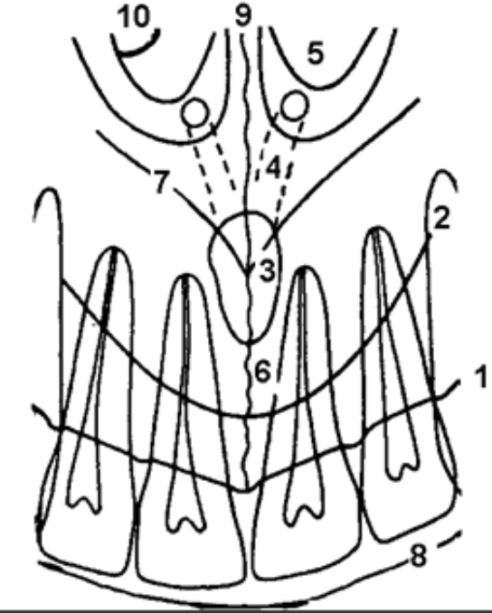 <p>Hvad viser 7?</p>