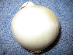 <p>4663</p>