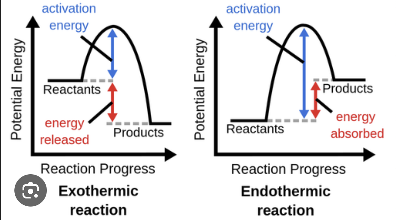 <p><span>What does an enthalpy profile diagram show, and how does it differ for exothermic and endothermic reactions?</span></p>