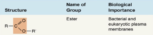 <p>Ester group.</p>