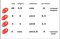 <p>Donor:A+-, AB+-</p><p>Receiver: A-, O-</p>