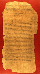 <p>Plant that was used to make an ancient Egyptian form of paper</p>