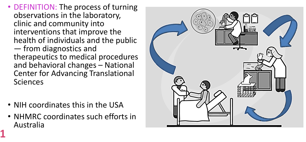 <p>The process of turning observations in the laboratory, clinic and community into interventions that improve the health of individuals and the public — from diagnostics and therapeutics to medical procedures and behavioural changes.</p><p>Includes laboratory research, clinical observations, community findings and interventions beyond medicines.</p>