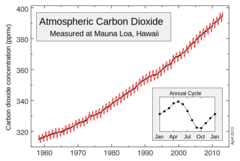 <p>A graph showing atmospheric CO₂ concentration over time, fluctuating seasonally and rising due to fossil fuel combustion.</p>