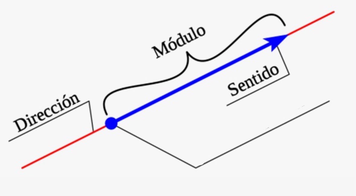 <p>Que parte del vector falta</p>