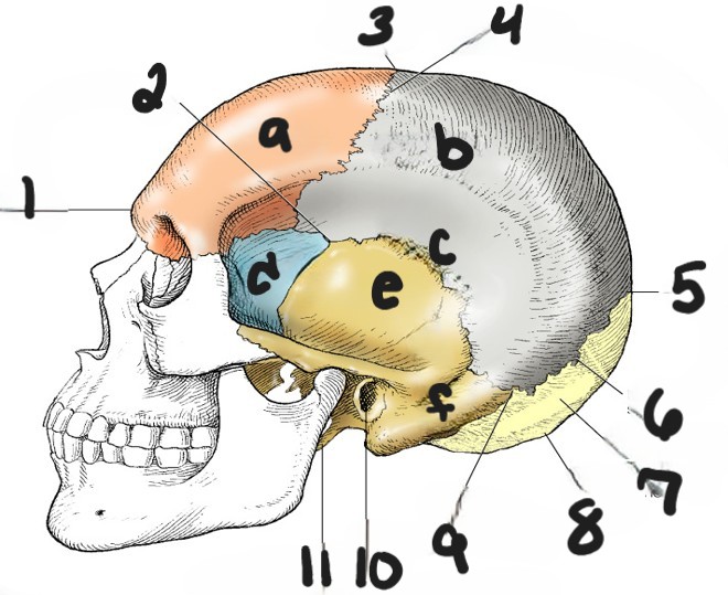 <p>what is c?</p>