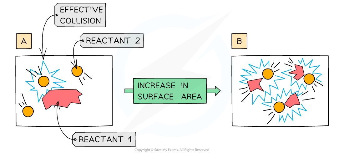 <p>Increasing the surface area means that a greater&nbsp;<strong>surface area</strong>&nbsp;of&nbsp;<strong>particles</strong>&nbsp;will be exposed to the other reactant</p><ul><li><p>This causes more collisions per second</p></li><li><p>Leading to more frequent and successful collisions per second</p></li><li><p>Therefore, the rate of reaction increases</p></li></ul><p></p>
