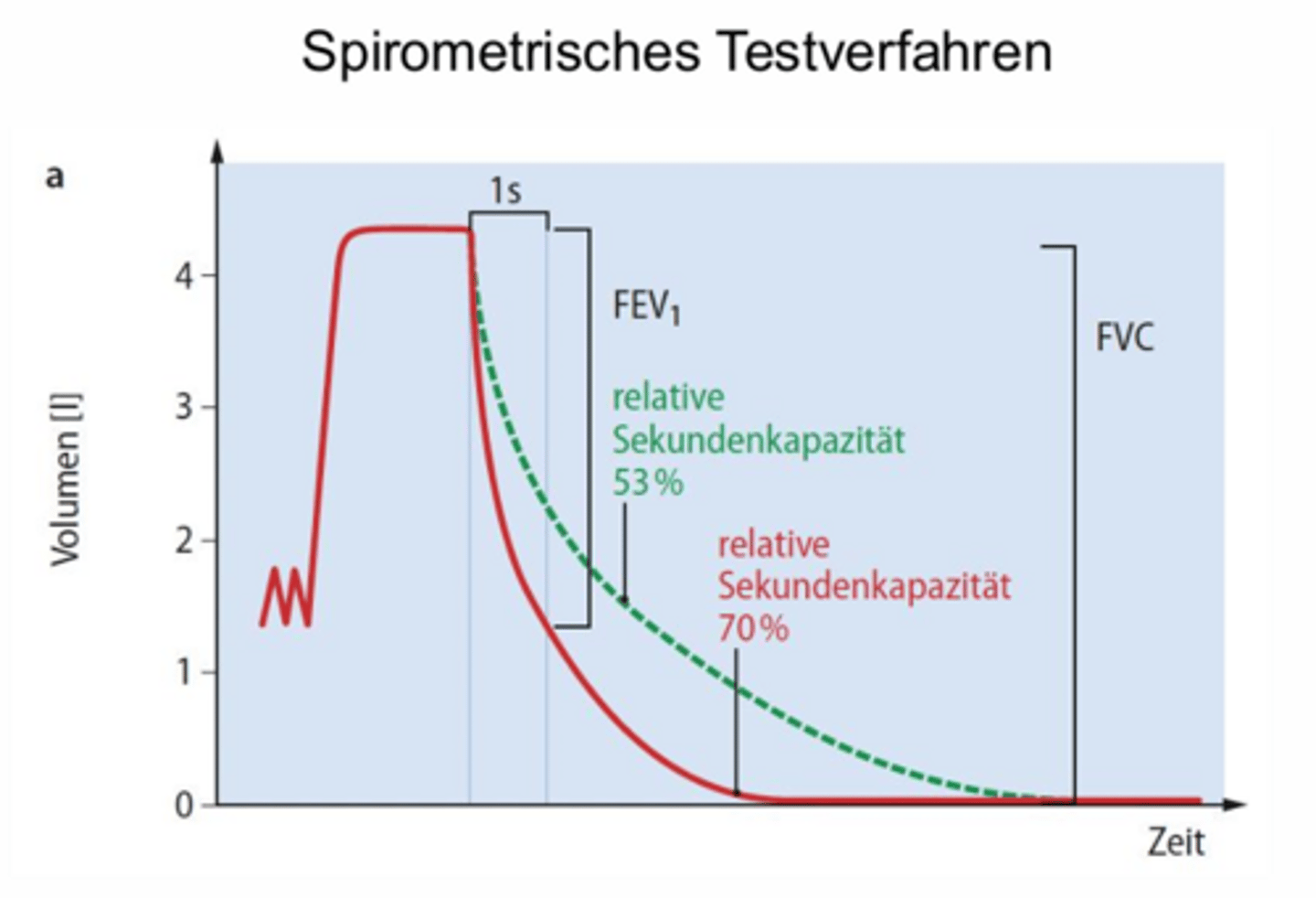 <p>forciertes expiratorisches Volumen in 1s (= Sekundenkapazität)</p>