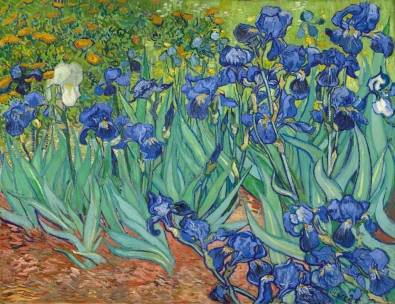 <p>Irises - 1889 </p>