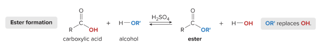 <p>Fisher Esterification</p>