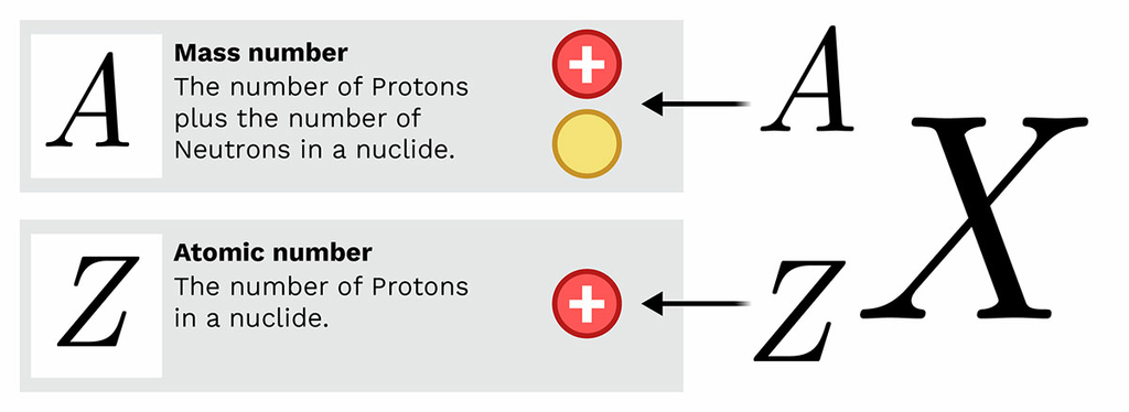 <p><span>The number of protons in the nucleus of an atom. The atomic number is the defining trait of an element: Its value determines the identity of the atom.</span></p>
