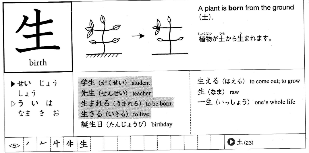 knowt flashcard image