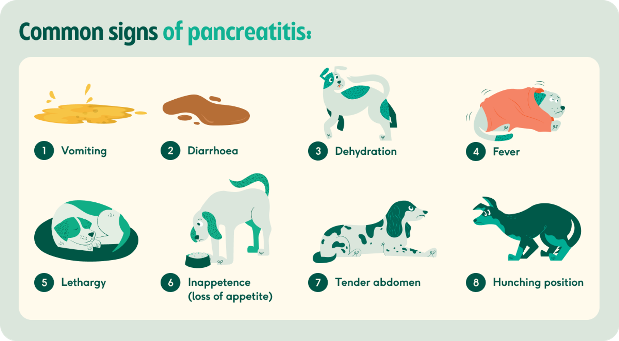 <p>Pancreatitis Symptoms</p>