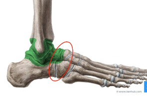 <p>What are these joints?</p>