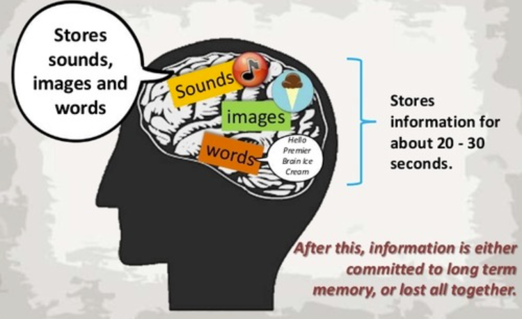 <p>Short-term memory</p>