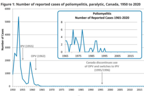 <p>1996</p><ul><li><p>brought by visitor to Canada</p></li></ul><p></p>