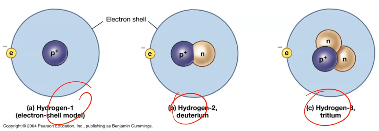 <p>The average mass number of all isotopes of an element.</p>