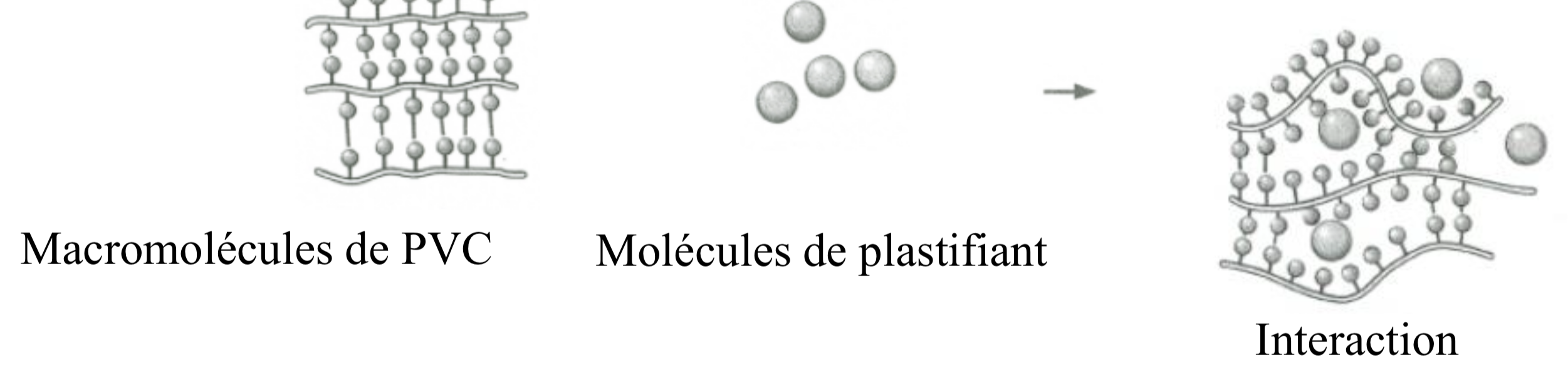 <p>Un solvant lourd ajouté à un polymère rigide qui diminue l’interaction entre les chaines (les molécules du solvant s’insèrent entre les macromolécules de polymères)</p><p>L’augmentation du pourcentage de cet additif cause une réduction importante de la rigidité. Diminue aussi le Tg</p>