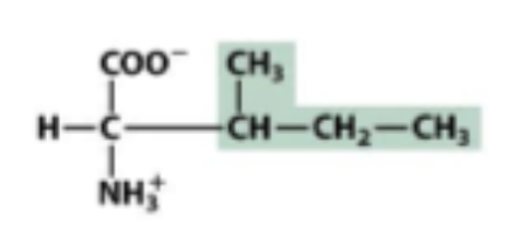 <p>Hydrophobic</p>