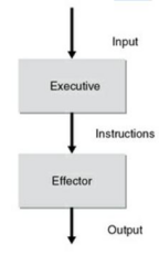 <p>It describes and explains how the nervous system produces coordinated movement during motor skill performance in various environments.</p>