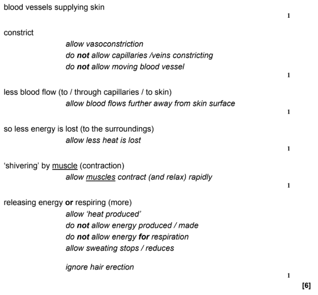 <ul><li><p>The blood vessels supplying skin constrict (vasoconstriction)</p></li><li><p>There is less blood flow to the skin</p></li><li><p>So less energy is lost to the surroundings</p></li><li><p>The muscles contract and relax rapidly (shivering)</p></li><li><p>So they are respiring more which produces heat</p></li><li><p>Sweating stops so less water is evaporating from the skin (which means less heat loss)</p></li></ul><p></p>