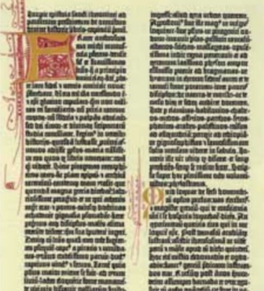<p>Rok</p>