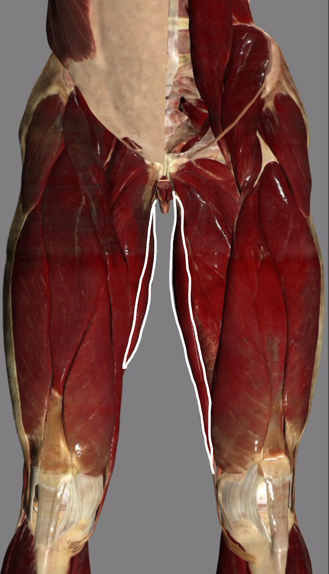 <p></p>