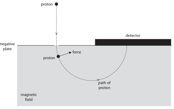 <p>Suggest how increasing the strength of the magnetic field will affect the proton when it is moving in the magnetic field. (2)</p>