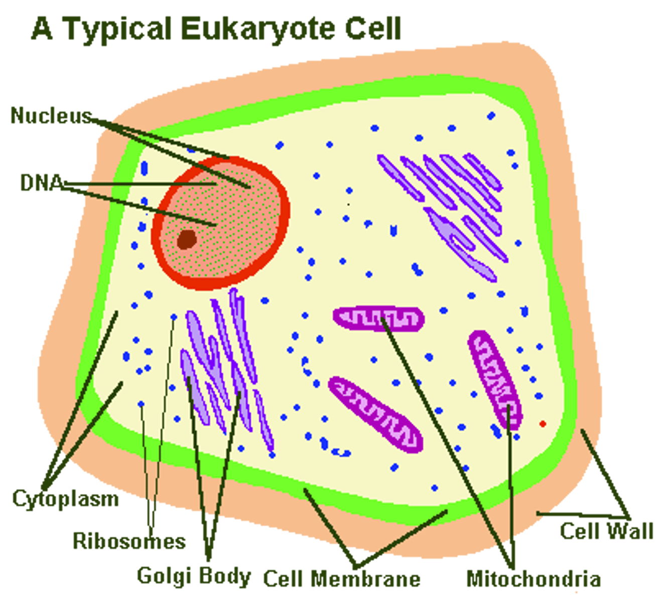 <p>define</p>