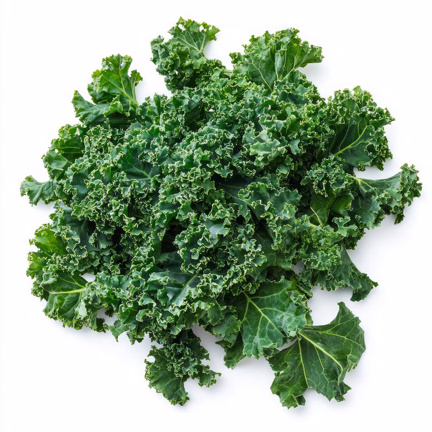 <p>Kale</p>