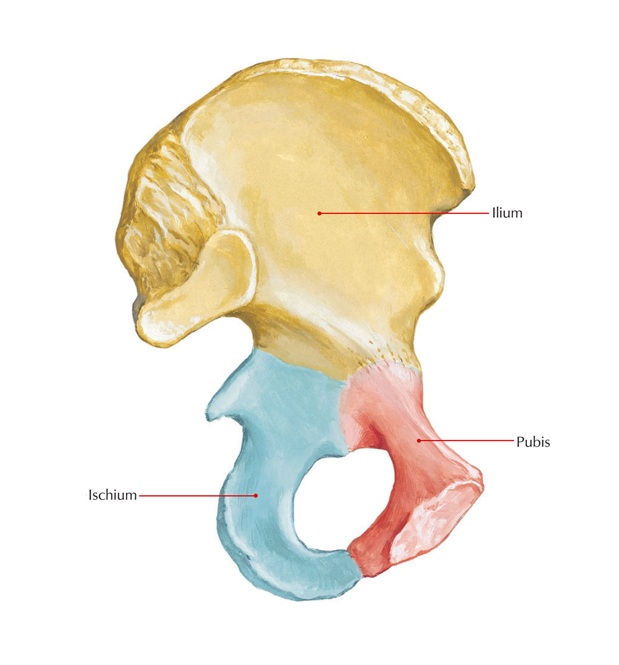 <p>Blue part</p>