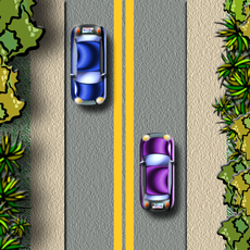 <p>Double solid yellow lines in the center of the highway mean:</p>