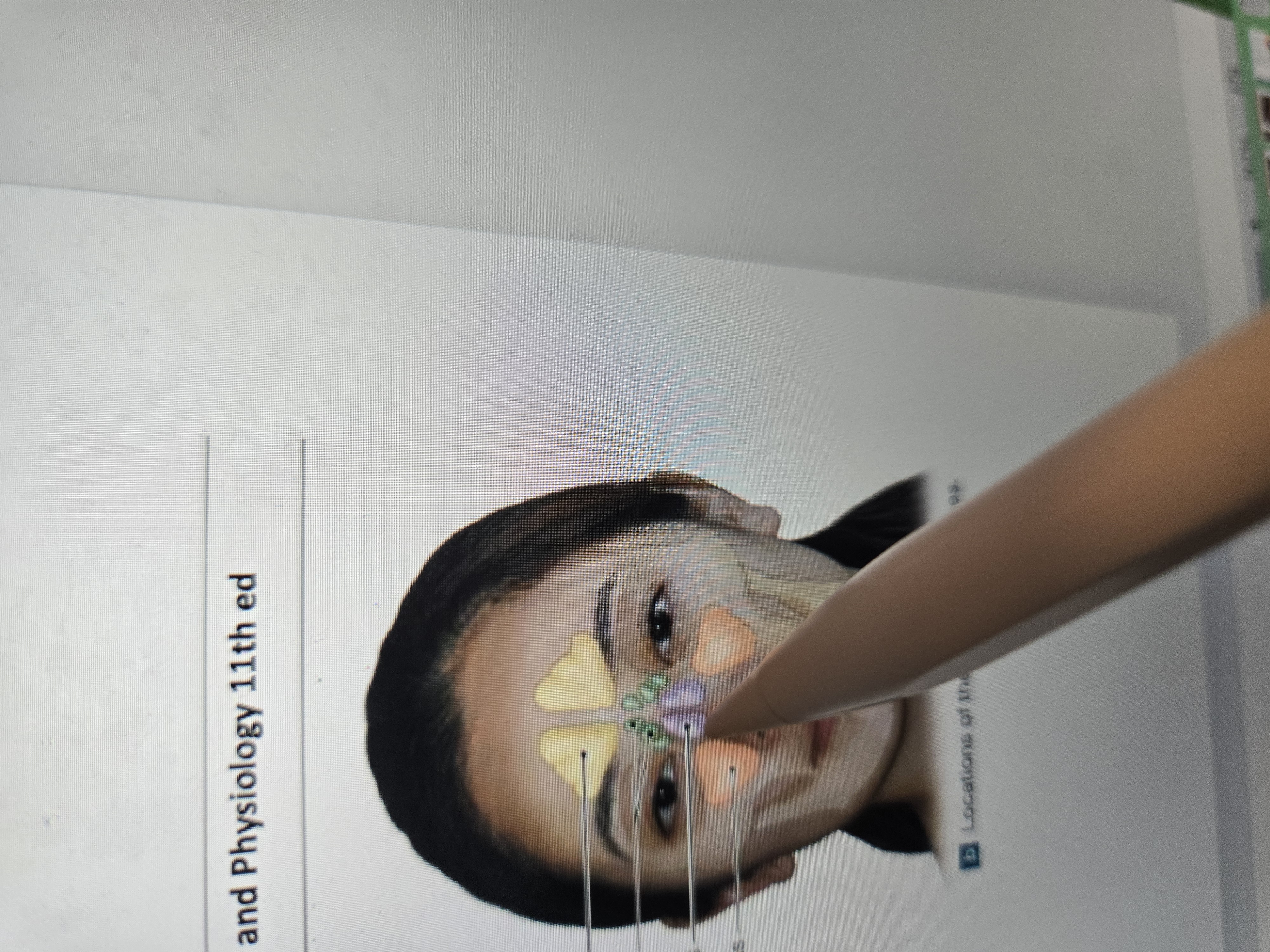 term image