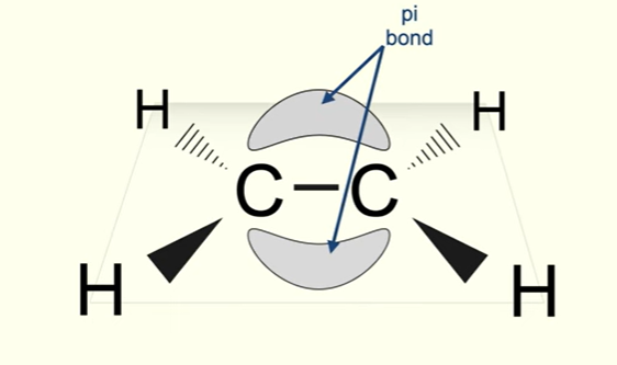 <p>Just like ethane, there are sigma bonds between the carbon and hydrogen atoms</p><p>However, when double bond forms ,a pi bond is formed. it is above and below the sigma bond, its only1 pi bond</p><p>So double bond in alkenes consists of sigma and pi bond</p>