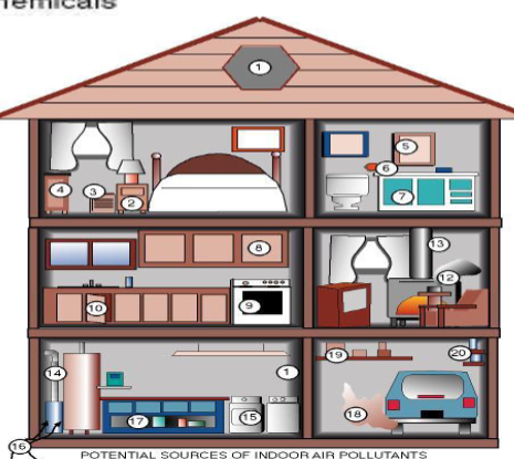 <p><u>75-90%</u></p><p><u>Indoor environments</u> trap pollutants = 2-5x higher levels than outside </p><ul><li><p><strong>“Air Tightening” </strong>of buildings reduce heating/cooling needs</p><ul><li><p>Lower outside air infiltration rate → not as much ventilation </p></li></ul></li><li><p><strong>Off-gassing</strong> from synthetic building materials</p><ul><li><p>Synthetic smell from materials </p></li></ul></li></ul><p></p>