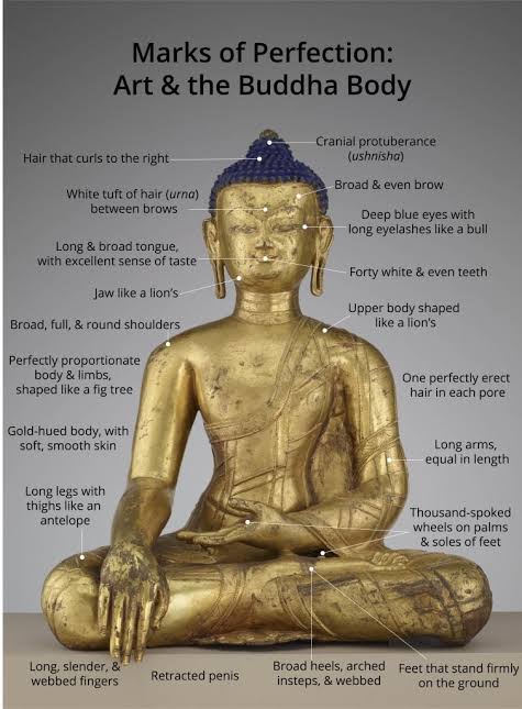 <p><span><span>How many special physical features does the Buddha have? [Đức Phật có bao nhiêu tướng tốt?]</span></span></p>