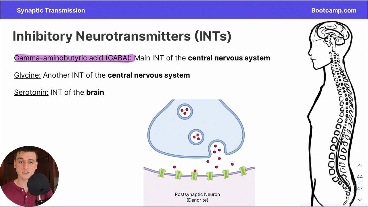 <p>INT of the CNS </p>
