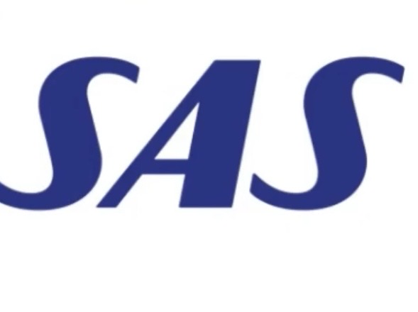 <p>SCANDINAVIAN AIRLINES</p>