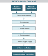 <p>Fluid loss -> decreased circulating blood volume -> D preload -> compensatory mechanisms of I hr and redistribution of blood (peripheral vasoconstriction; RAAS; ADH) </p><p>Ineffective interventions lead to myocardial dysfunction, ischemia, organ failure and death</p>