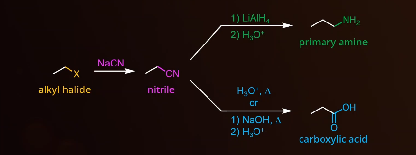 <p>MEMORIZE ME! </p><ul><li><p>missing cyanohydrin rxn</p></li></ul><p></p>
