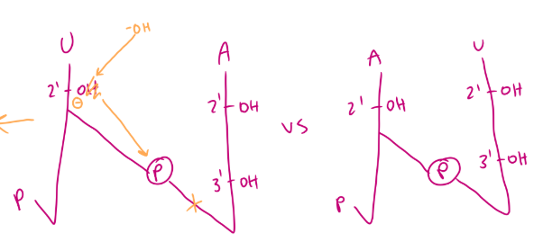 <p>no </p>