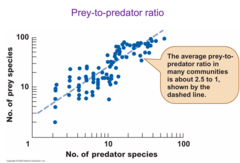 <p>False, because some area contain fossils that have been found to have more predators than herbivores which would hint to dinosaurs being ectotherms and not endomorphs</p>