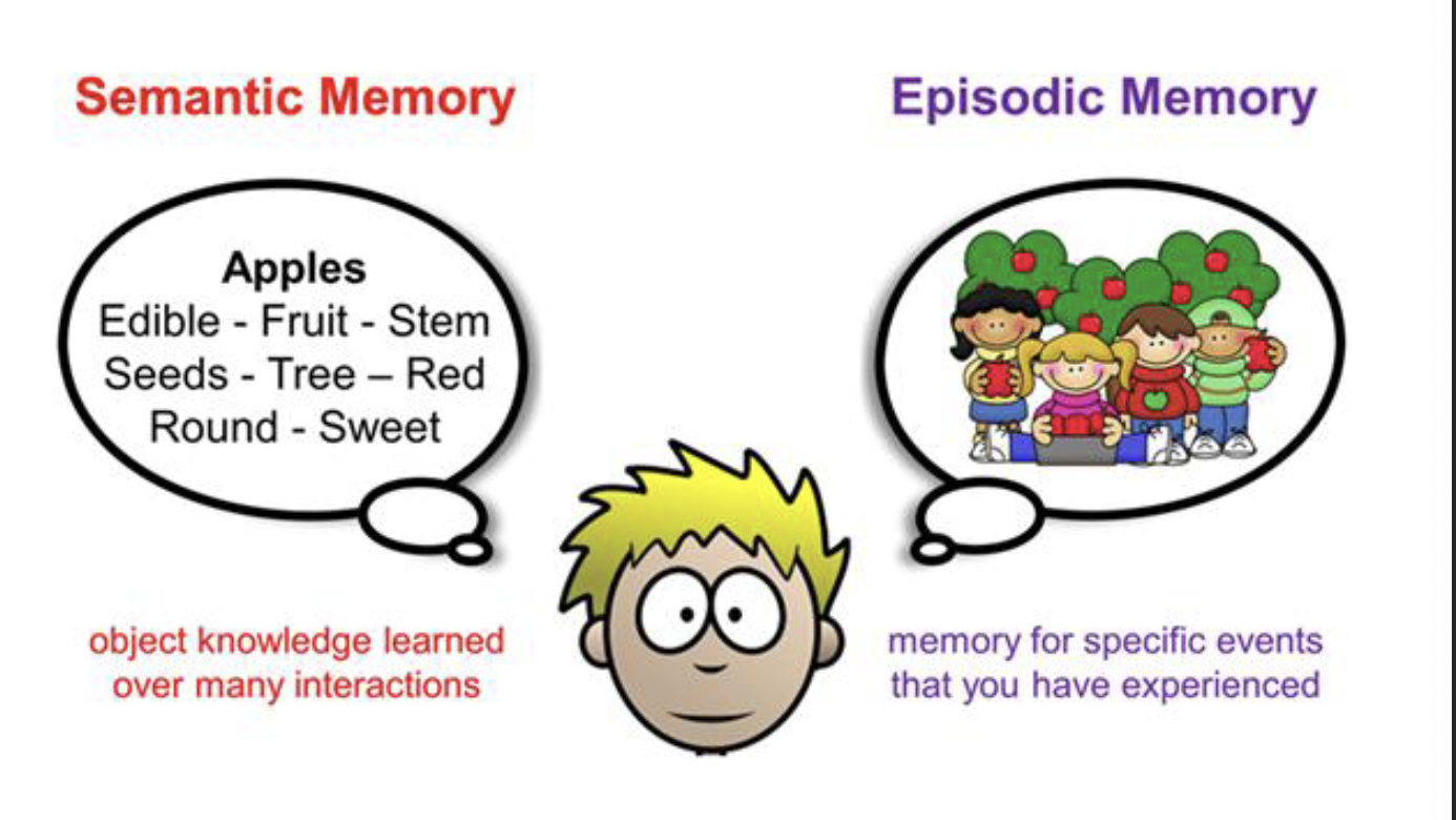 <p>Semantic memory - Object knowledge LEARNED over many interactions</p>