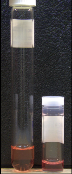 <p>the gold standard to isolate <em><u>live</u></em> viruses and show <em><u>active</u></em> infection</p><p>performed to show CPE: cytopathic effect (structural changes in host cells caused by viral invasion)</p><p>expensive</p><p>extensie training</p><p>takes a long time</p>