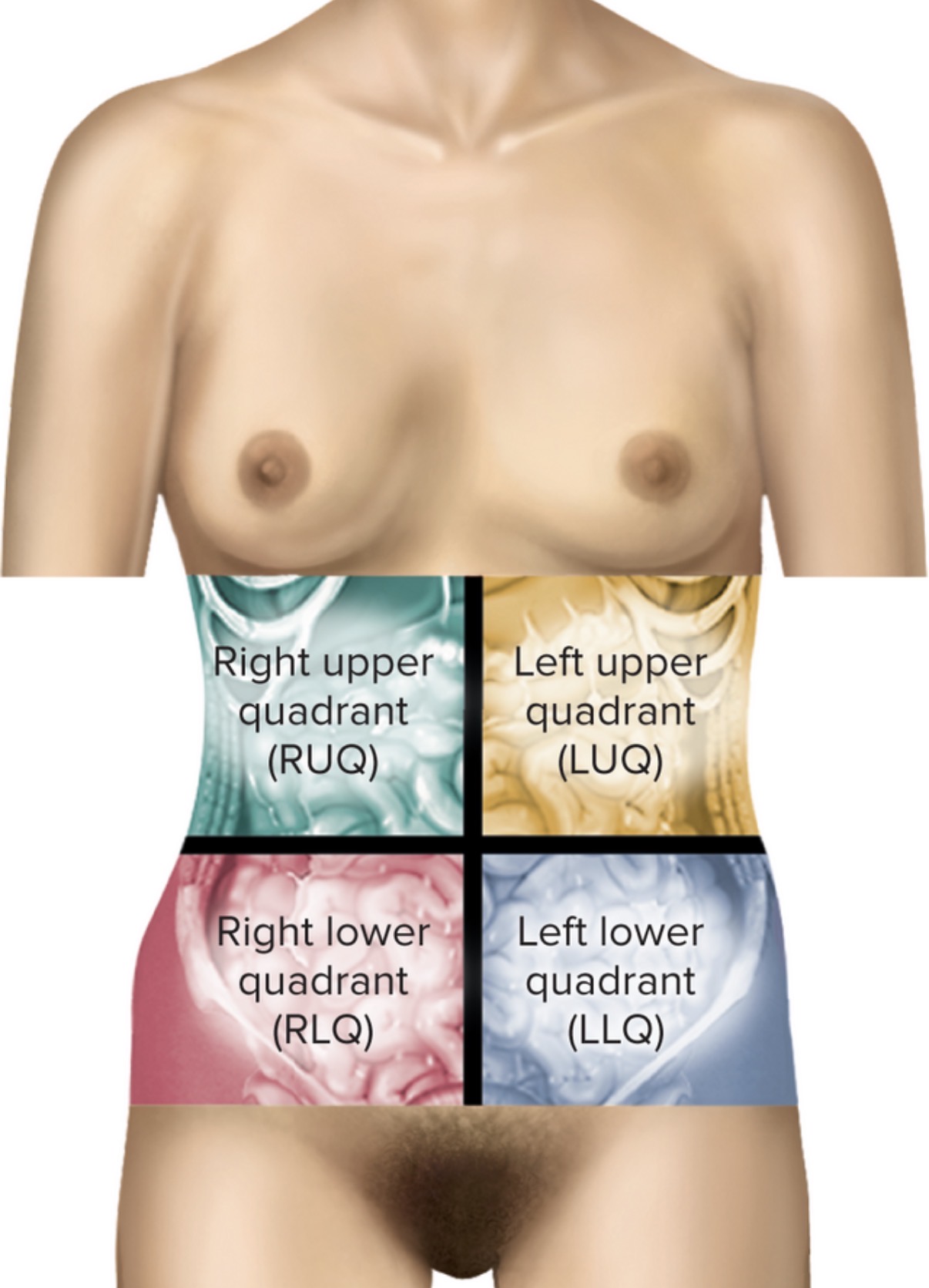<p>Upper right abdomen; 10th rib</p>