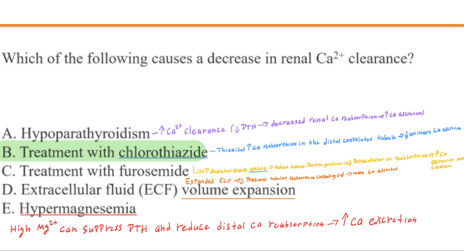 <p>B. Treatment with chlorothiazide</p>